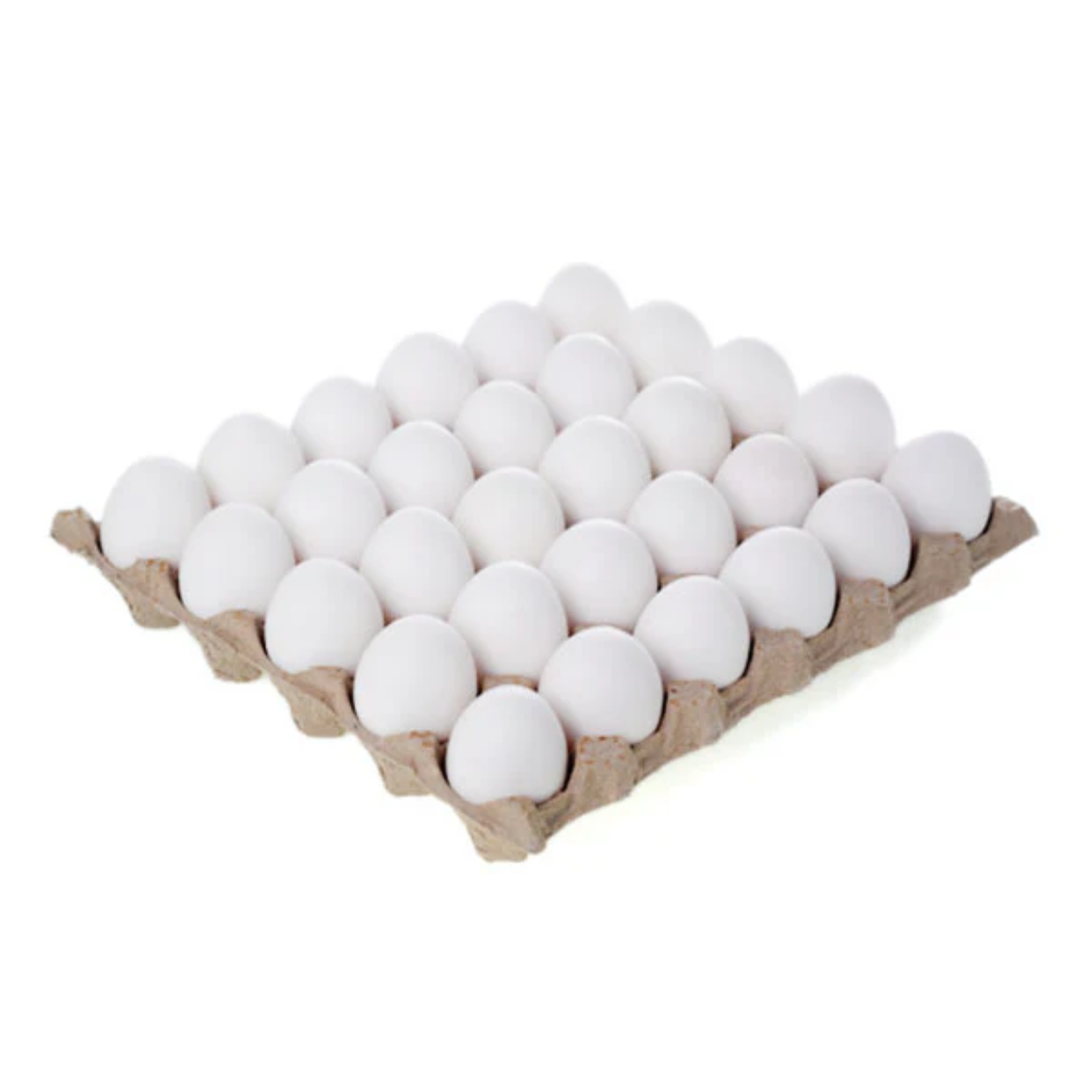 Fresh Eggs